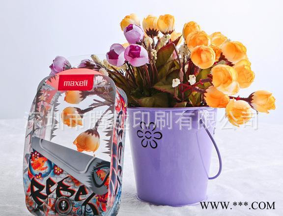 定制长江18650锂电池电芯PVC胶盒高品质免维护铅酸蓄电池图3