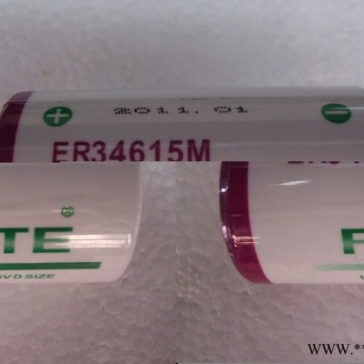 Forte 高容量 3.6V锂电池ER34615M  D型  SIZE