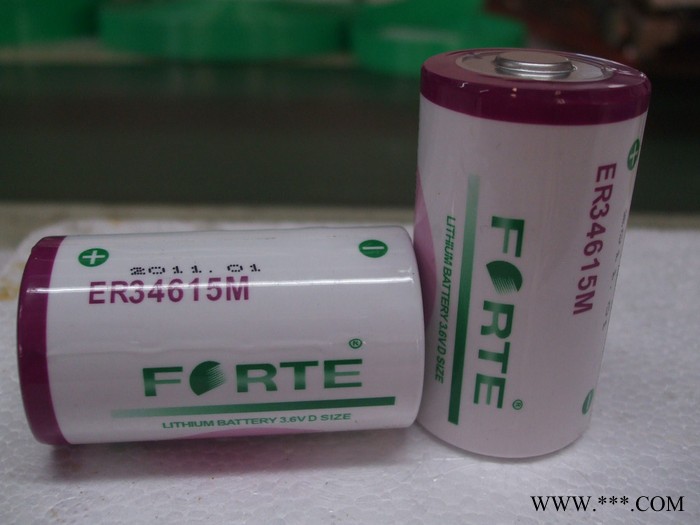 Forte 高容量 3.6V锂电池ER34615M  D型  SIZE图2