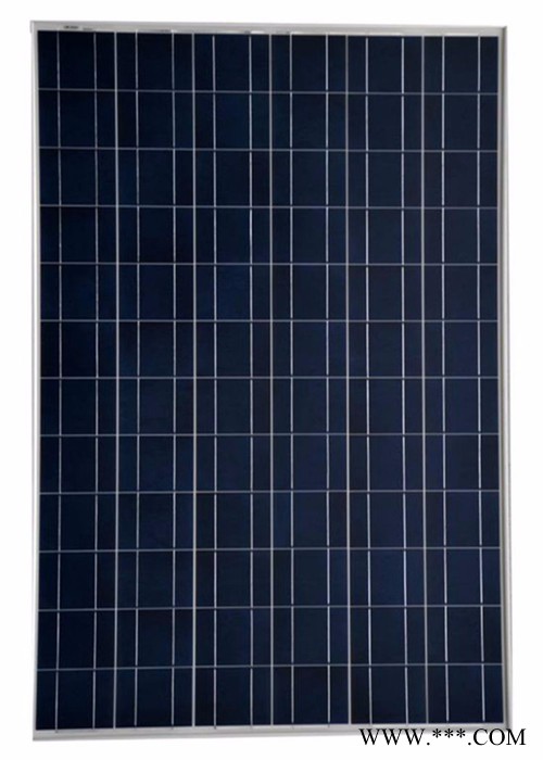 Real Solar  RS-P-300 300W太阳能电池组件     光伏组件图3