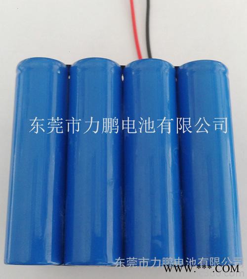 供应力鹏大量生产加工186504AH锂电池组图2