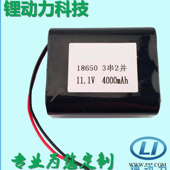 锂动力专业生产户外照明灯具锂电池12v4000mah 可用于钓鱼灯防爆灯等便携照明灯具图2