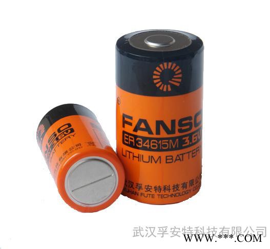 供应孚安特3.6V    ER34615M 智能仪表用 大功率 一次性锂电池图2