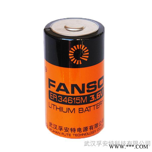 供应孚安特3.6V    ER34615M 智能仪表用 大功率 一次性锂电池图3