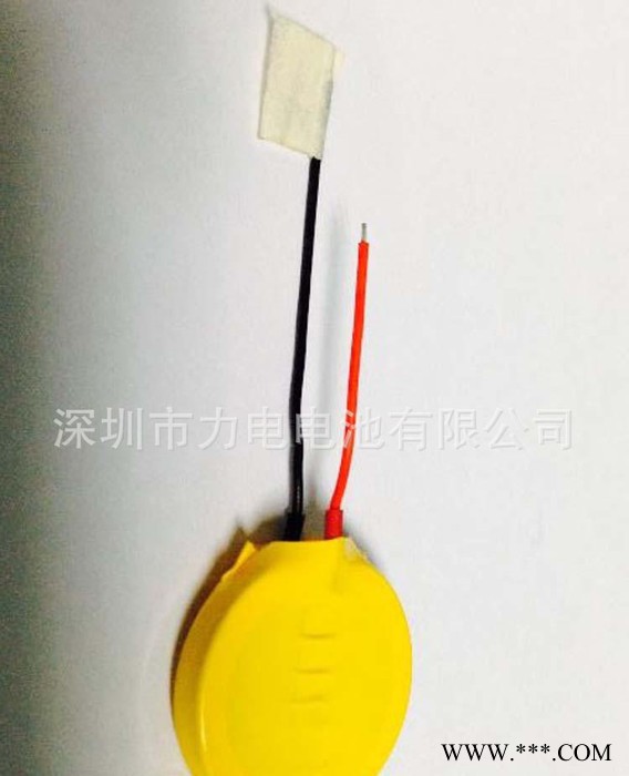 CMOS电源模块带线电池3V锂电池CR2032纽扣电池图3
