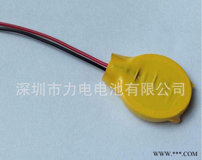 CMOS电源模块带线电池3V锂电池CR2032纽扣电池图2