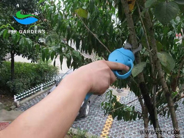 电动修枝剪 电动果树剪刀 锂电池充电式修枝剪 充电式果树剪刀 电动剪枝剪图2