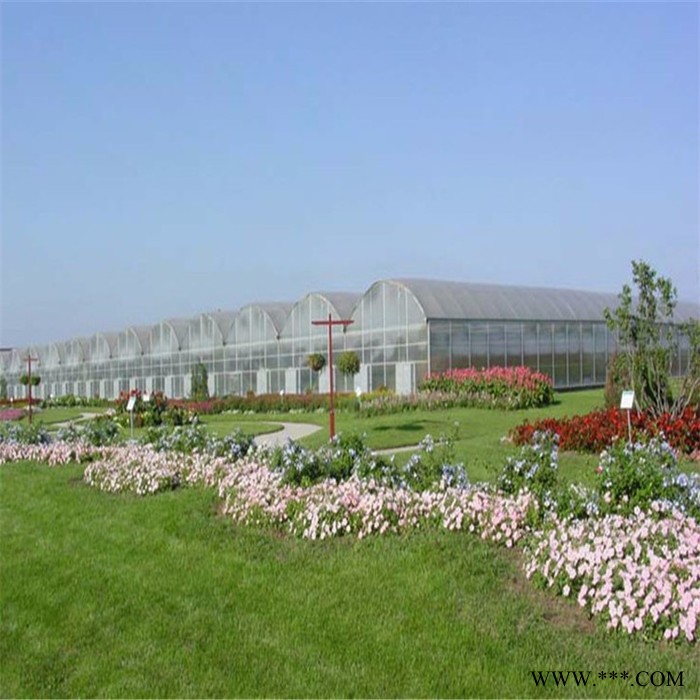 新疆光伏蔬菜大棚浙江金华多肉大棚湖北鄂州养鸭大棚 新型温室大棚 养鸭大棚专用钢管图2