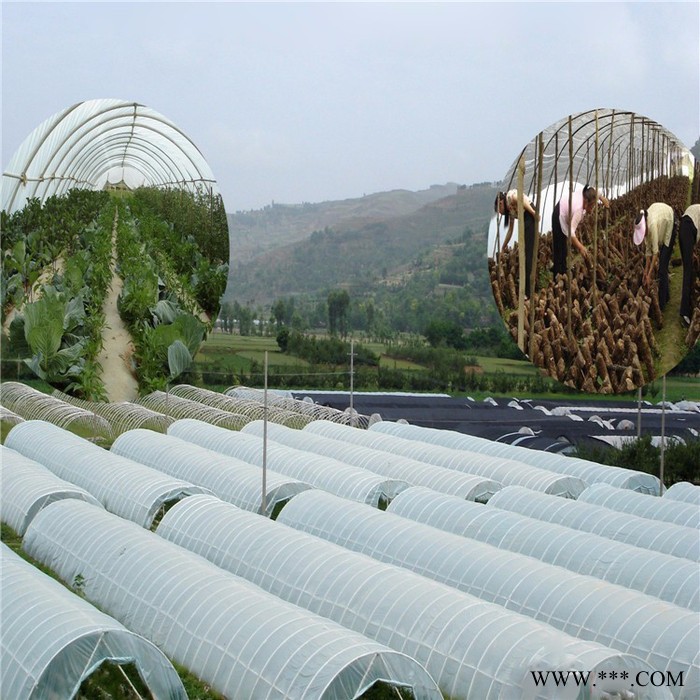 新疆光伏蔬菜大棚浙江金华多肉大棚湖北鄂州养鸭大棚 新型温室大棚 养鸭大棚专用钢管图3
