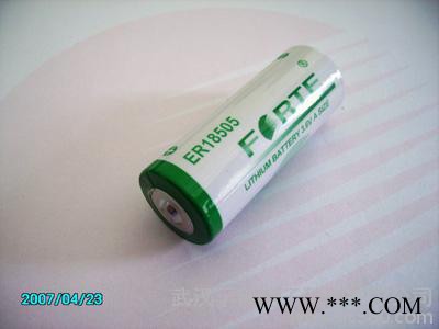 供应 一次性锂电池ER18505 远程抄表所需电池 多仪器仪表试用图2
