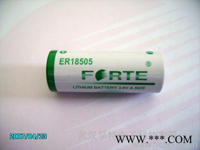 供应 一次性锂电池ER18505 远程抄表所需电池 多仪器仪表试用图3