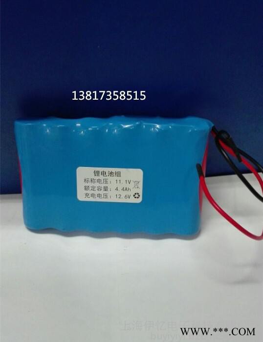 定制全新高容量1865012V-15.6AH锂电池组图3