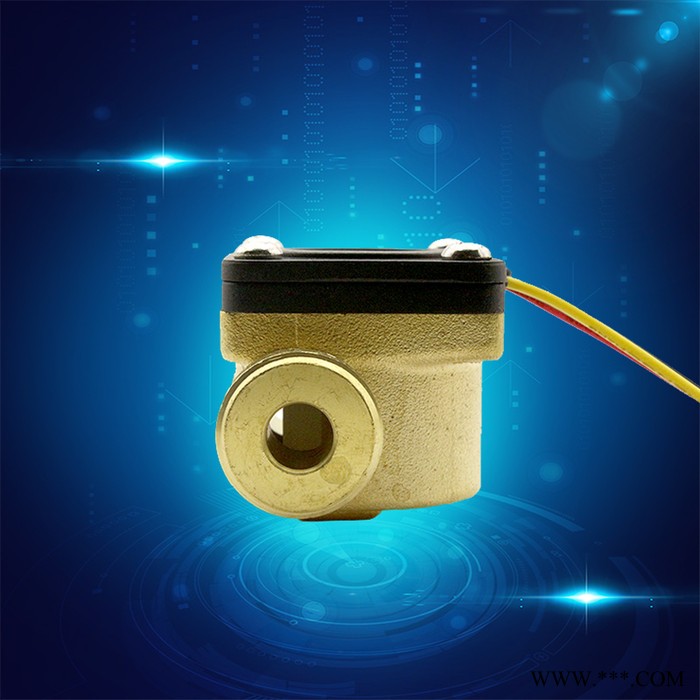 赛盛尔SEN-HZ21WC 太阳能热水器流量传感器  热水器水流量传感器图3