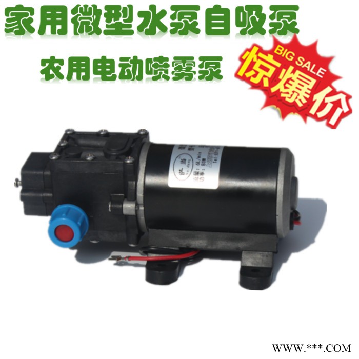 24V微型增压泵家用热水器自吸抽水水泵太阳能直流高压隔膜泵