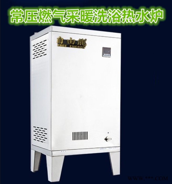 自由能 天然气热水锅炉 冷凝式燃气供暖采暖锅炉 环保节能商用燃气热水器 洗浴燃气热水锅炉图4