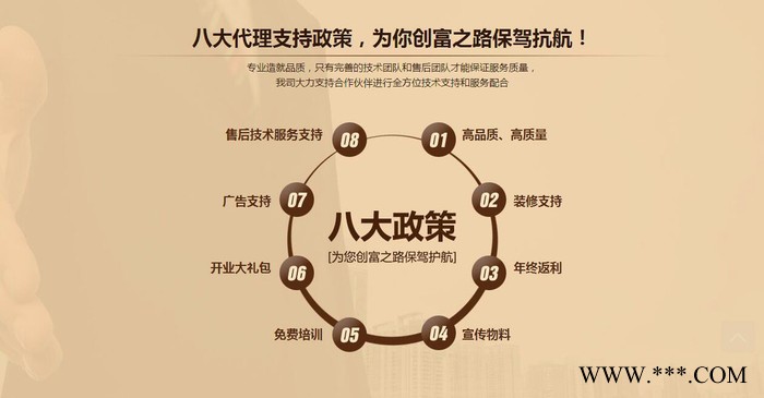 付太厨房电器品牌直销招商FT-D23节能恒温热水器燃气热水器 提供OEM图2