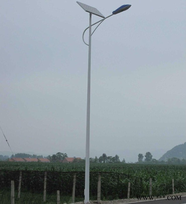 江苏丰泽照明9米太阳能LED路灯太阳能路灯控制器价格图2