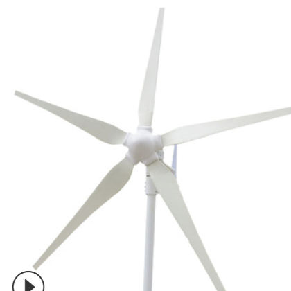 600W12V24v48v小型风力发电机家用220V监控风光互补风能发电机图2