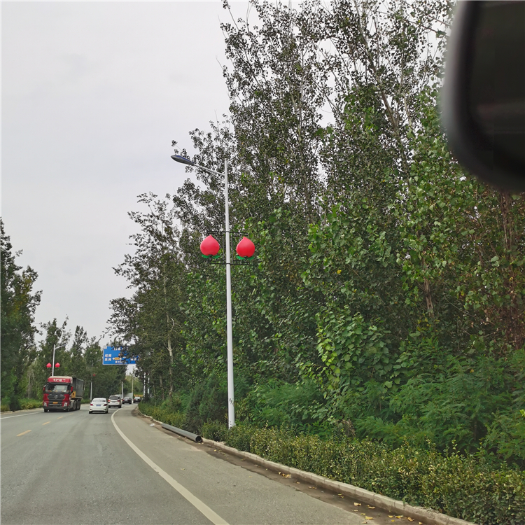 新农村太阳能路灯 生产厂家 路灯生产厂家 英光