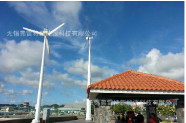 家用商用10KW 15KW家庭用并网离网风力发电机工程监控风光互补牧 1台起批图4