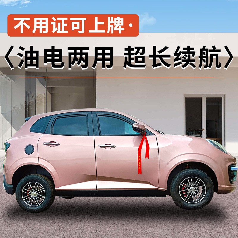 四轮电动车家用女士小型低速代步新能源汽车全封闭成人新款电瓶车图2