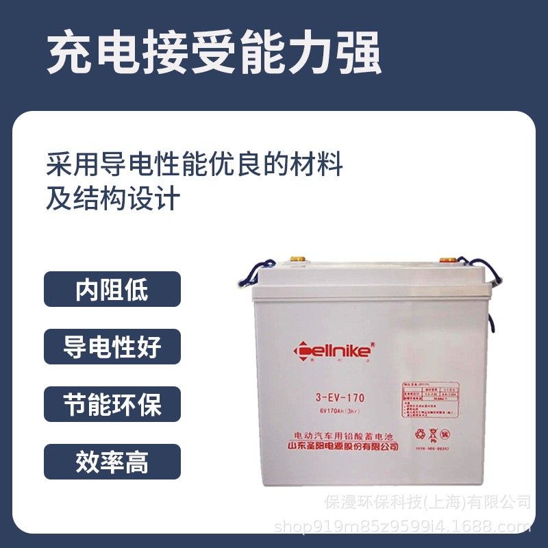赛耐克蓄电池 12V100AH/120/6V200/8V150AH 观光车洗地机动力专用图2