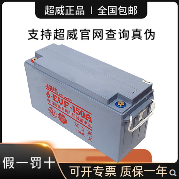 赛耐克蓄电池 12V100AH/120/6V200/8V150AH 观光车洗地机动力专用图5