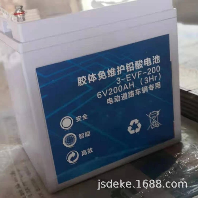 胶体免维护电池D-200AH电压6V持续动力型铅酸蓄电池观光车巡逻车图2