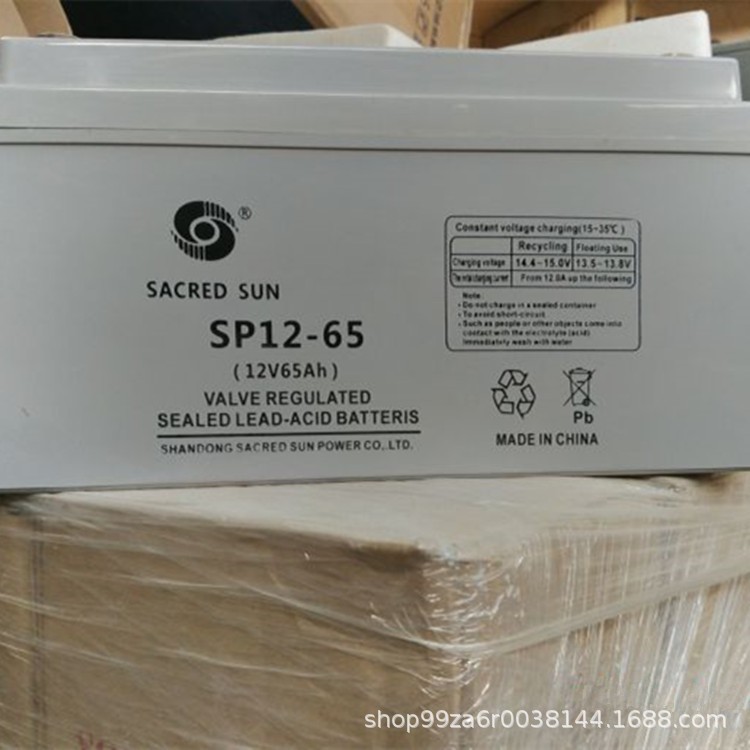 圣阳蓄电池SP12-100 12V100AH光伏电站/UPS/路灯/太阳能蓄电池图2