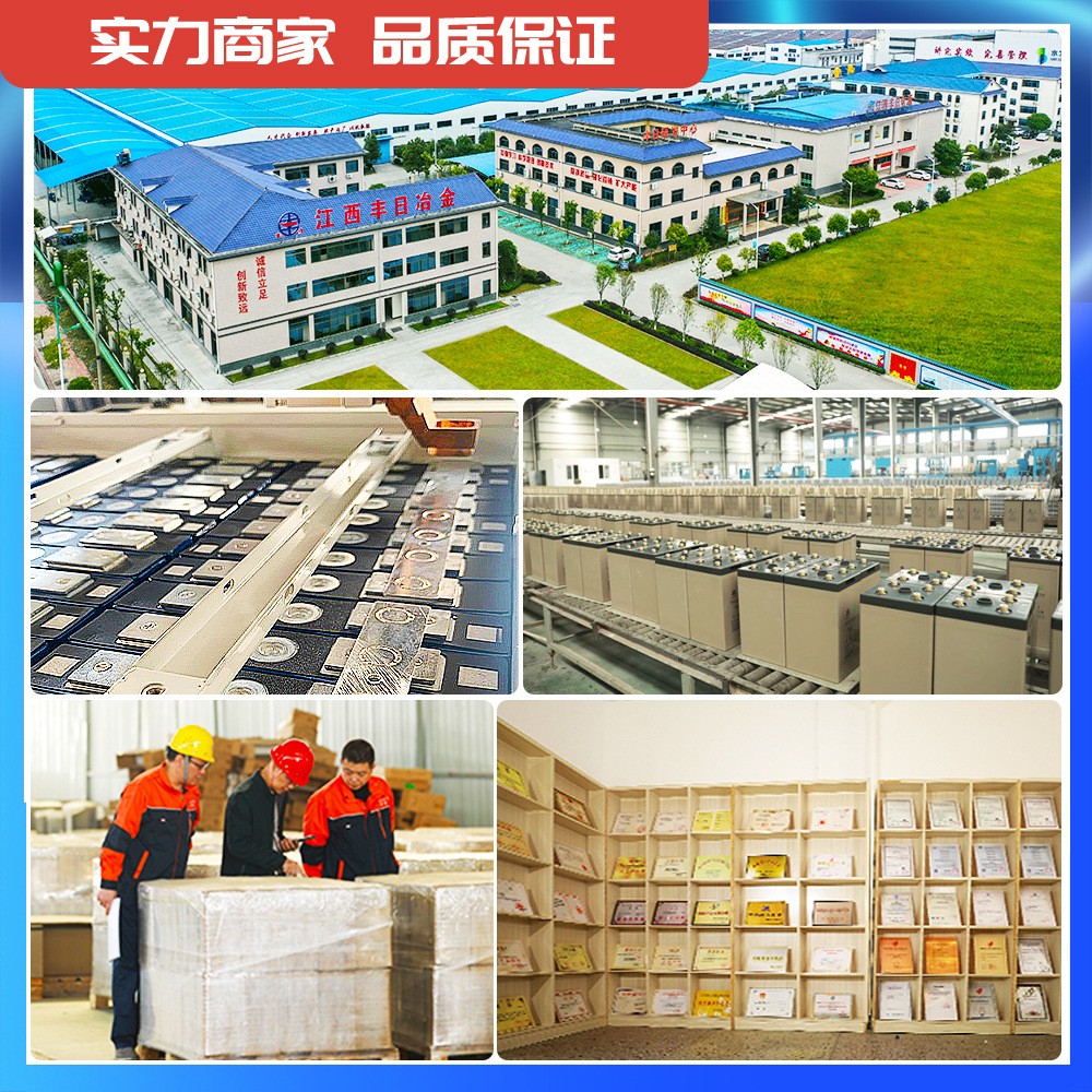 丰日管式电池 OPZV系列 2V100Ah图4