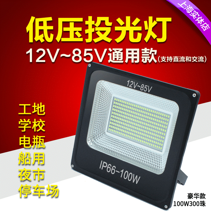 led投光灯低压36V12V24V防水船用50W夜市地摊电瓶灯直流交流工地图3