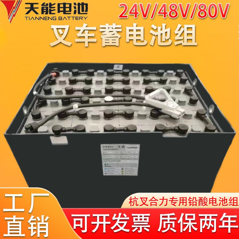 天能蓄电池24V48V80V杭叉合力电动叉车电池组搬运车堆高车蓄电瓶图2