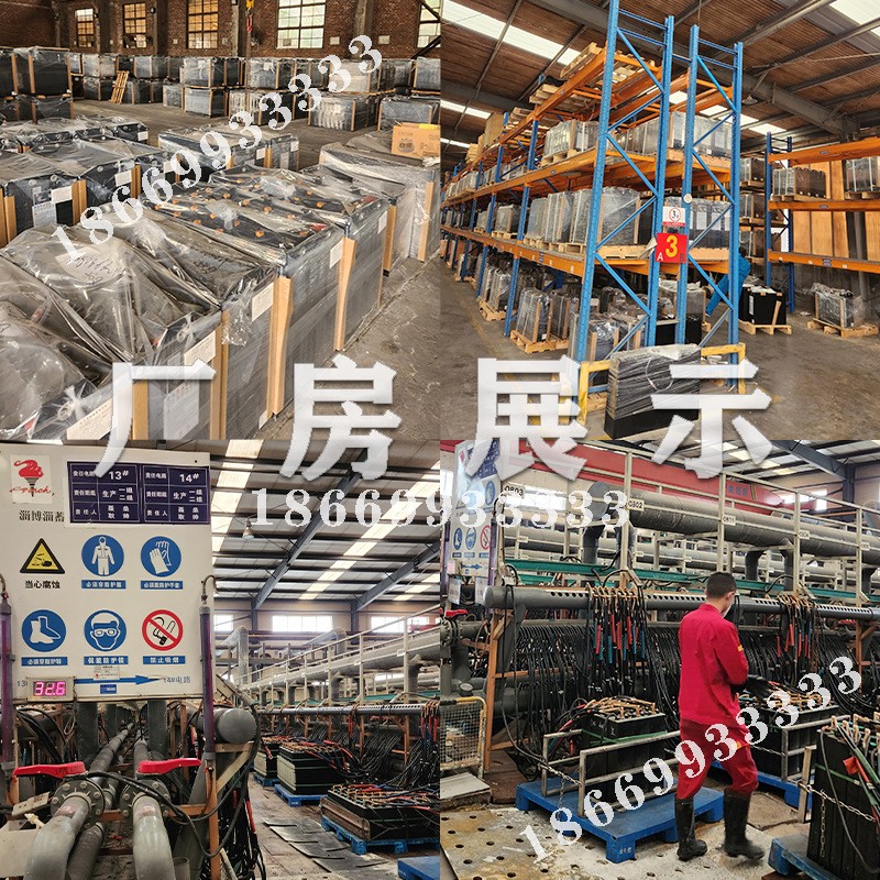 火炬电池免维护电动车观光车高尔夫球车胶体电池小金刚搬运车电瓶图2