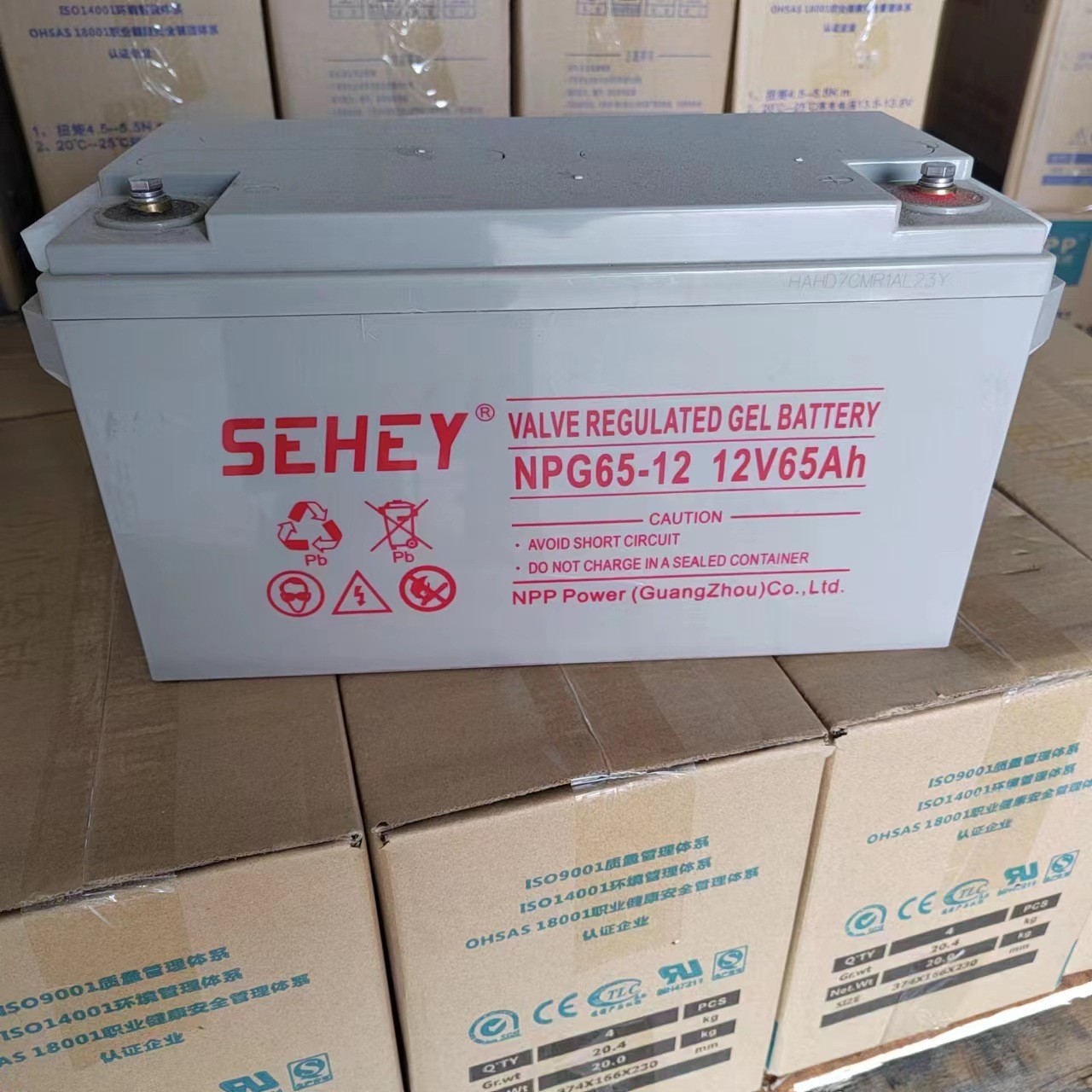 SEHEY西力太阳能胶体蓄电池NPG200-12铅酸12V250AH大容量U PS电源图2