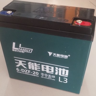 浙江天能电池48V20AH电动车电池6-DZM/F-20AH铅酸蓄电池12V20AH