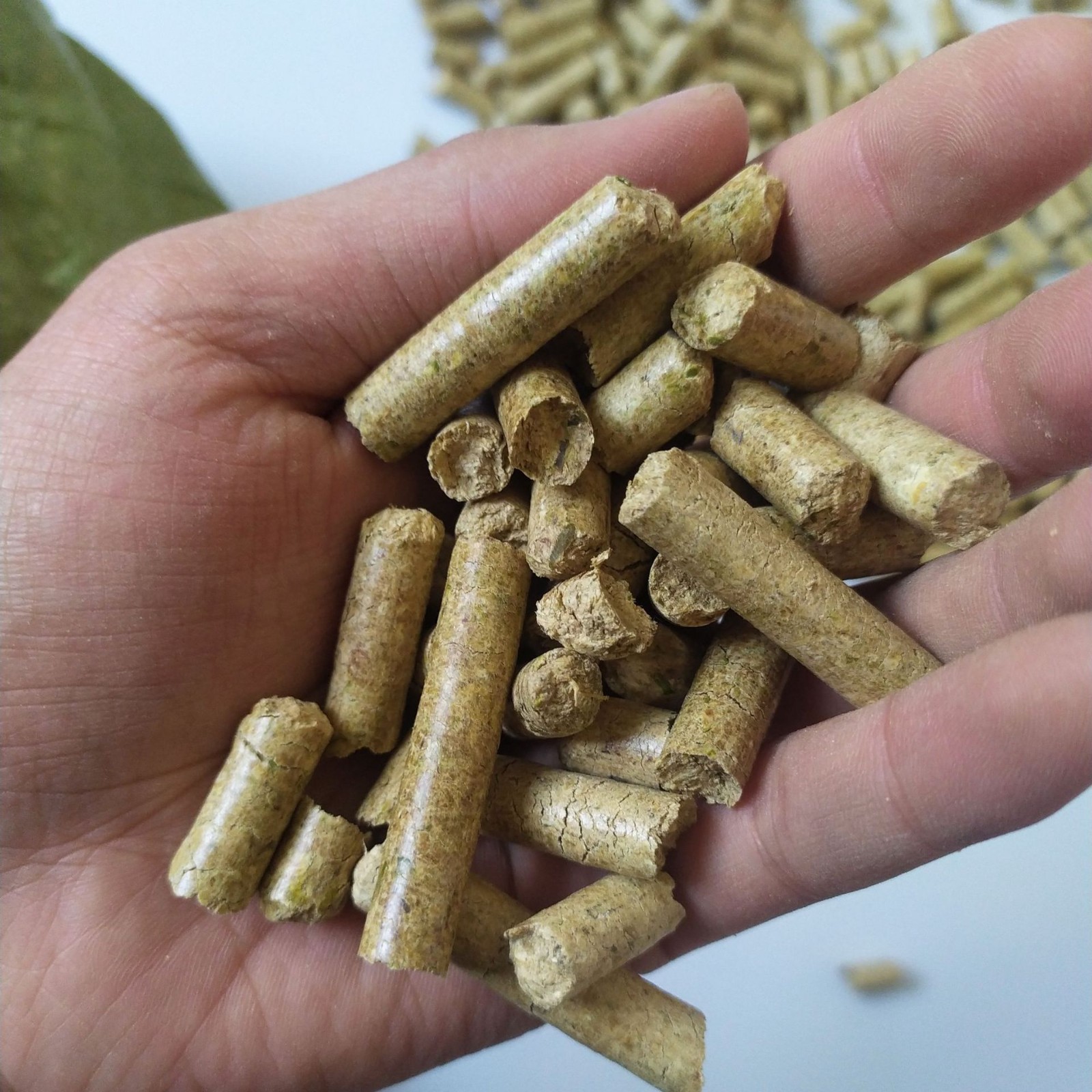 厂家销售生物质燃烧颗粒 生物颗粒 颗粒燃料 生物质燃料 竹粉颗粒图2