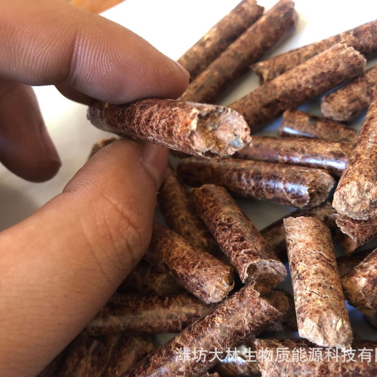 厂家批发生物质颗粒燃料 锯末生物质颗粒 生物质成型燃料生物颗粒图3