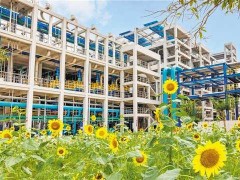 低碳转型稳步推进 单位GDP能耗持续下降