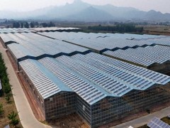 河北秦皇岛：清洁能源装机并网容量占比超57%