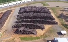 什么是生物质燃料？电厂采用这种新燃料可以减少碳排放啊！